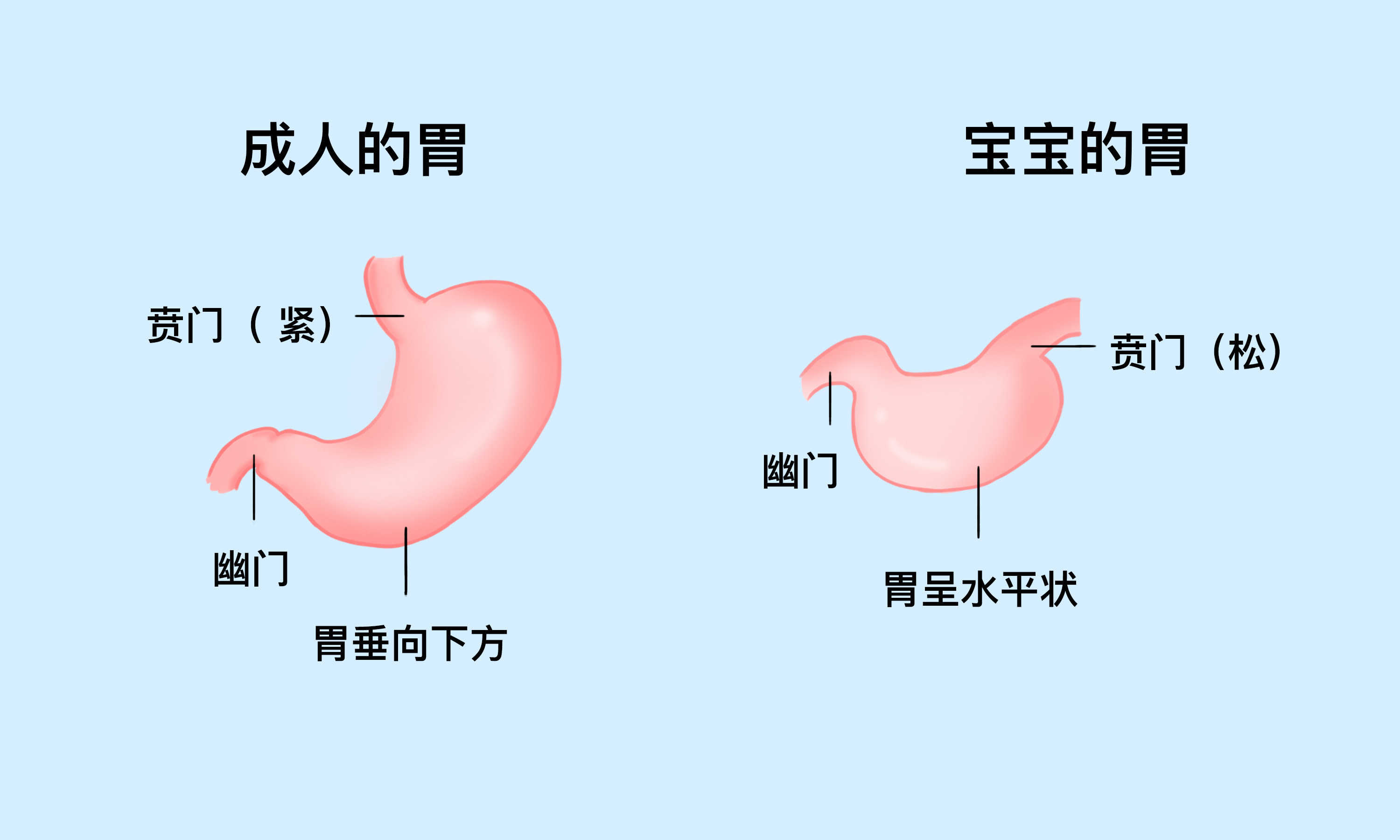 新生儿1-12个月的养育知识大全,新生儿相关的100个照顾问题