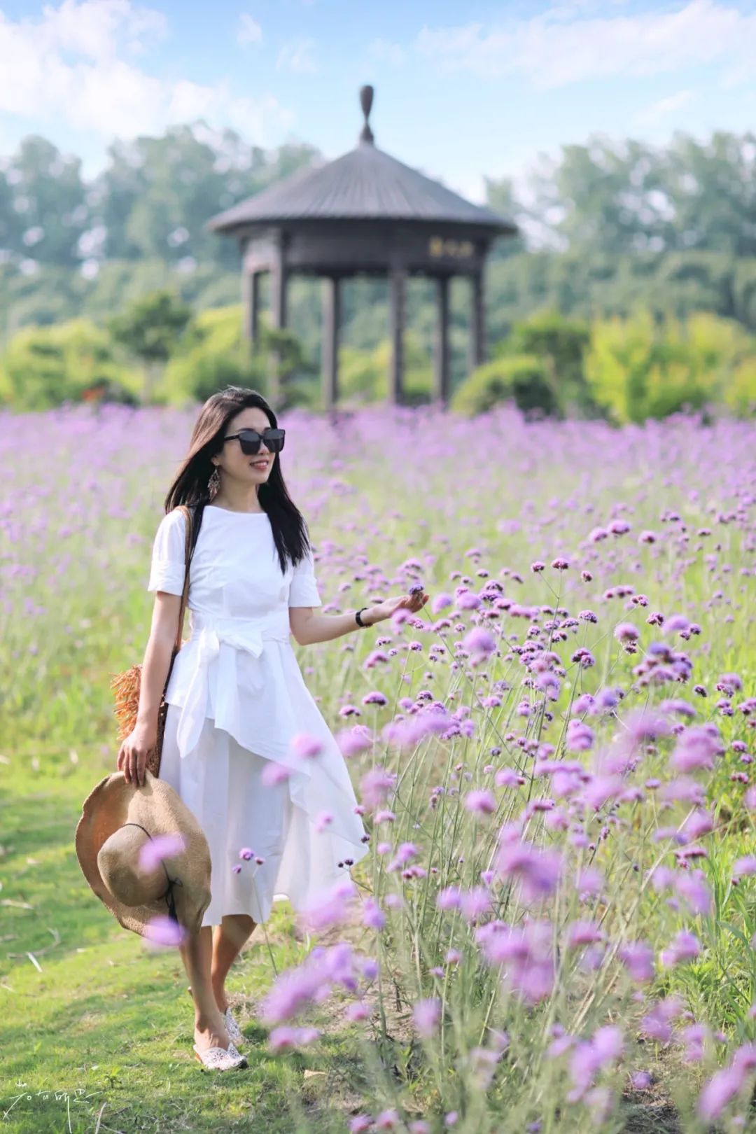 娌欏娴滅殑绱壊鑺辨捣,娌欏娴滈鏅尯鑺辨捣