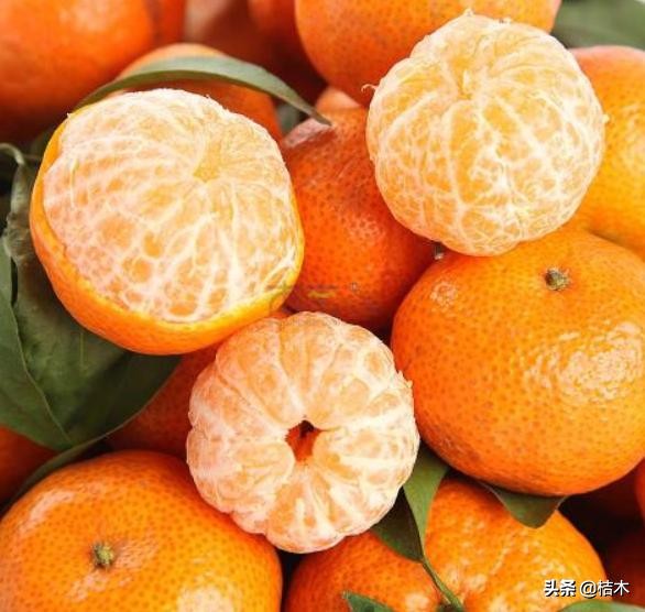 太空舱砂糖橘为何会成为杀人橘,今年的沙糖桔为什么叫杀人橘