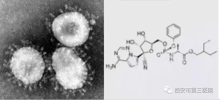 心力衰竭感染新型冠状病毒怎么办,新冠病毒感染者更易导致心衰