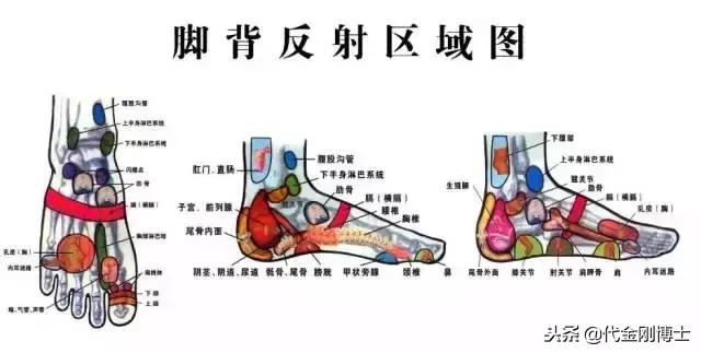 寒从脚底起病自心中生,寒从足下起病从脚底除
