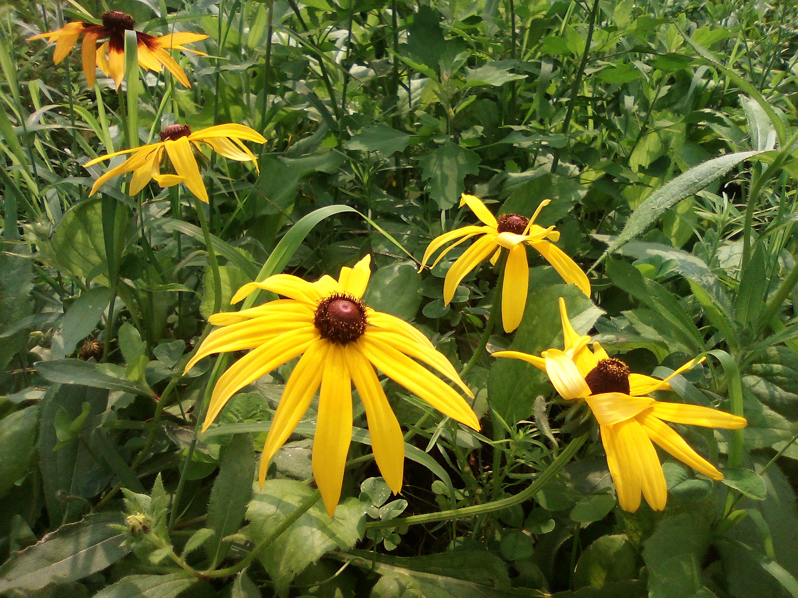 沉迷手机已成社会问题，多亲防沉迷学生手机F21Pro轻松解决