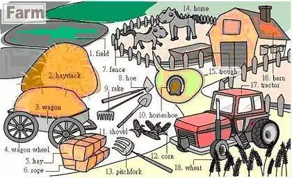 34张图让孩子记住英语中所有生活用词!老师惊呼,太值了!