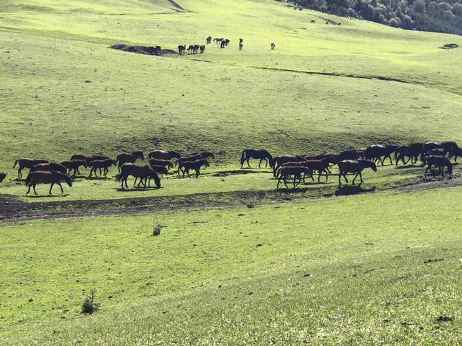 一家四口暑假日常之去游乐场,暑期全家一起大东北出游超欢乐