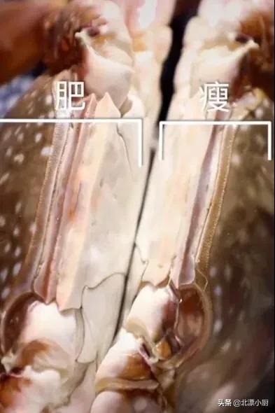 买梭子蟹时掉腿好吗,顶盖肥的梭子蟹多少钱