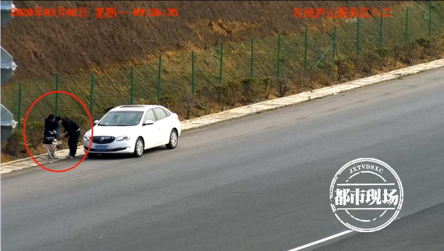 奇葩夫妻在高速上,奇葩小夫妻高速