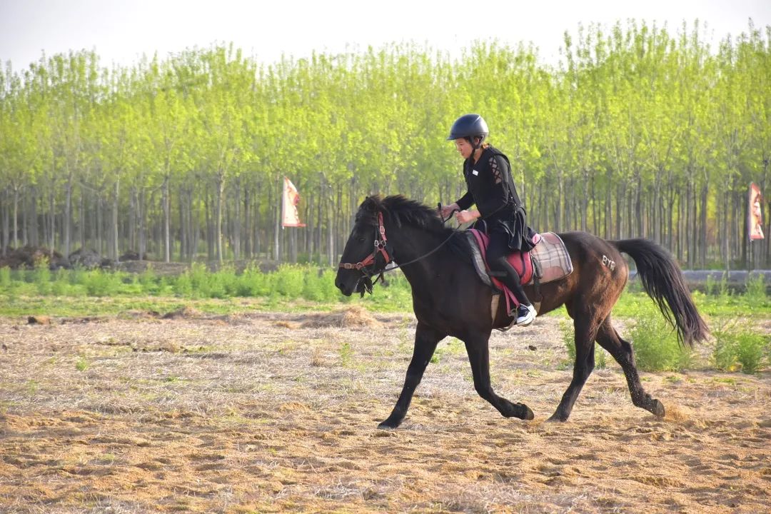 祥和庄园一日游,享受美食和田园风光的完美之旅