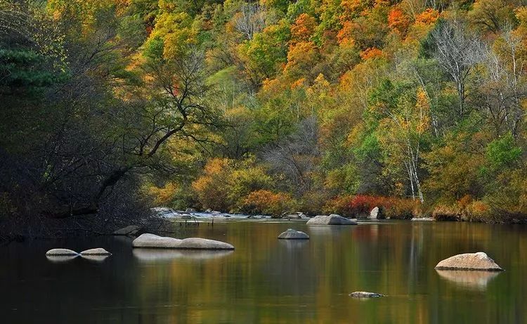 离俄罗斯只有一江之远,离黑龙江很近的俄罗斯城市