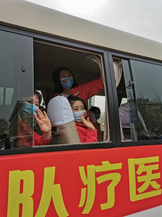 五朵金花百合,张家口市宣化5朵金花