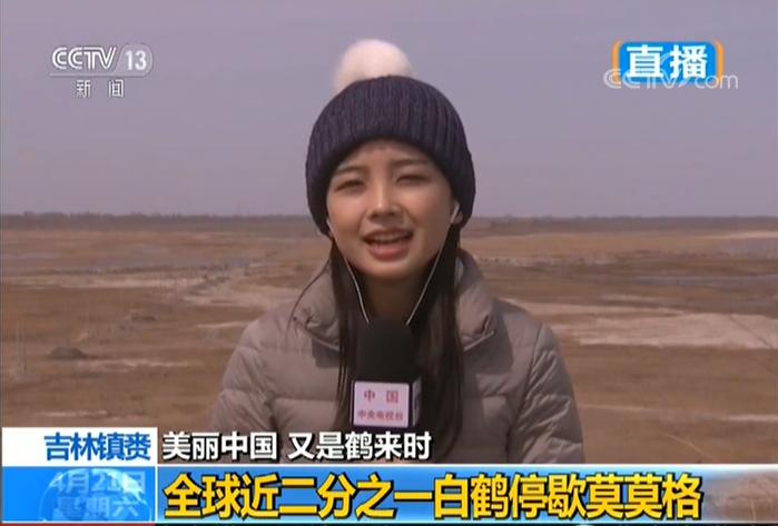 王冰冰和庄晓莹谁漂亮,央视花旦王冰冰