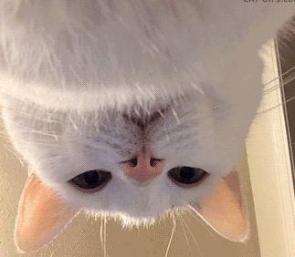 爱我，就给我舔屁股吧