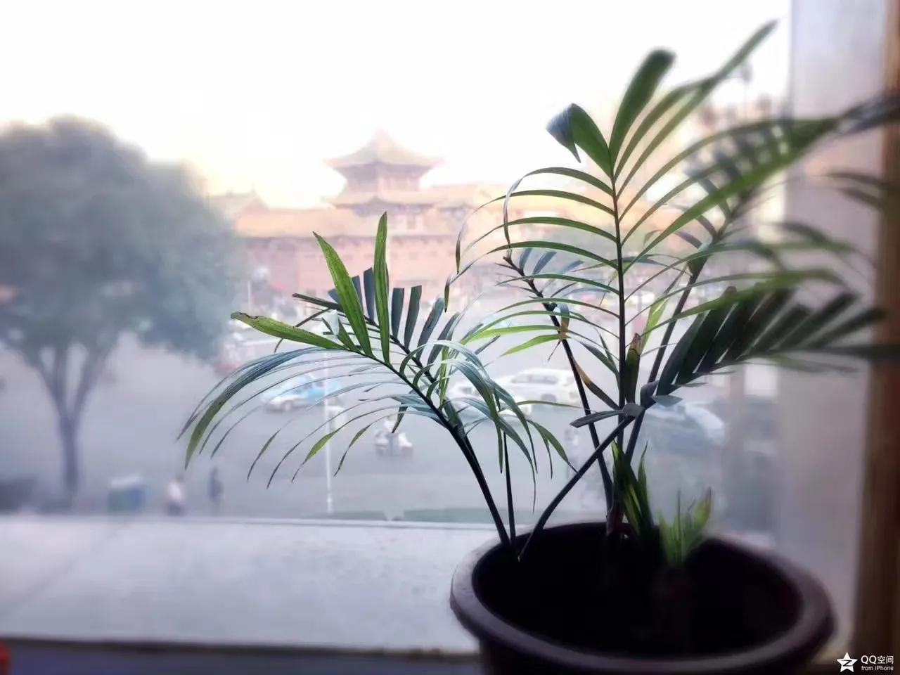 颞颌关节咔咔响怎么调理,颞颌关节弹响的治疗方法