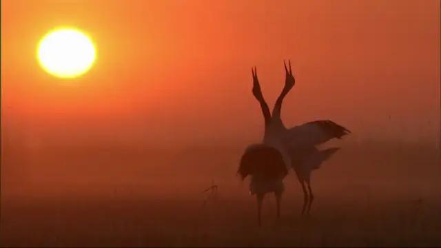 你在搞笑吗韩语,bbc搞笑视频