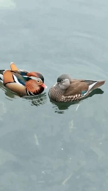 冰雪奇缘的美丽瞬间,冰雪奇缘照进现实