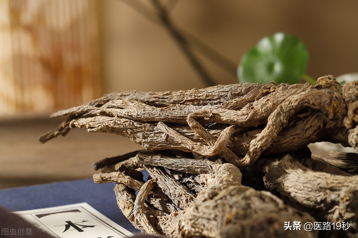 补肾效果最好的中药有哪几种,补肾的中药吃对了才更有效