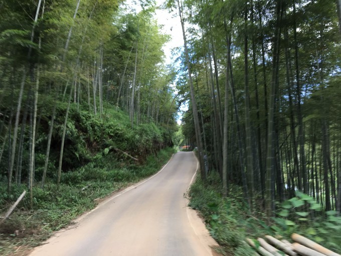 广州从化溪头村一日游出游攻略,从化溪头村自驾游攻略视频