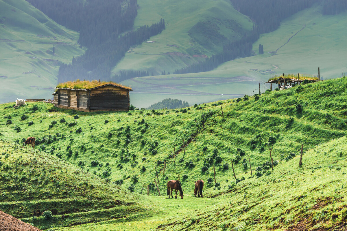 新疆自驾北疆伊犁大环线线路图,为什么不去新疆