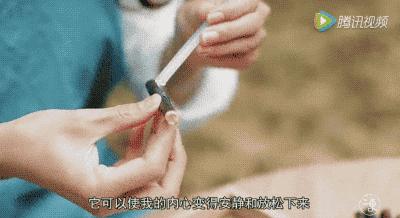 她31岁放弃北漂，回归自然，用枯枝败叶，打造了一个梦幻森林