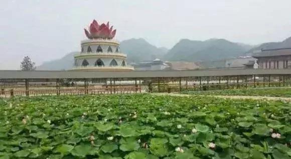 最美赏荷胜地,中国最美荷花美景排名前十