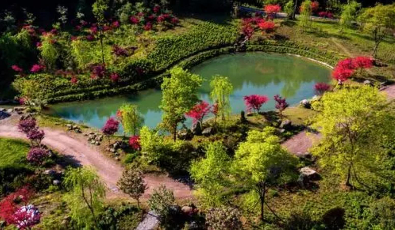 成都童话森林旅游,成都周边两小时的童话森林王国