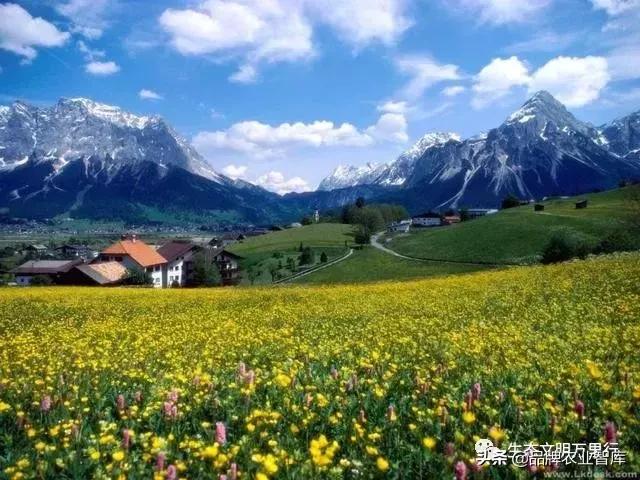 变态的日本农业:敬畏自然、超前思维、死磕单品!