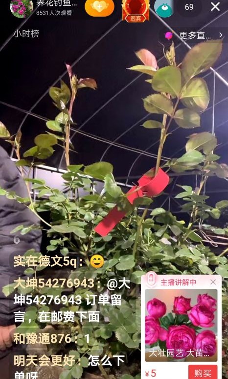 怎么办？怎么办？怎么办？入了直播的坑出不来了！