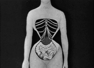 眼馋陈卓璇巴掌腰,竟靠束腰勒小腰?做对一个动作一周瘦出小蛮腰