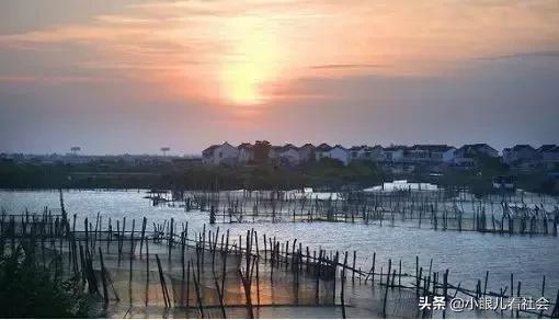 阳澄湖大闸蟹99元30只直播团购,阳澄湖大闸蟹99元包邮