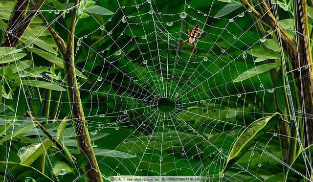 看图速配古诗,看图配诗大全