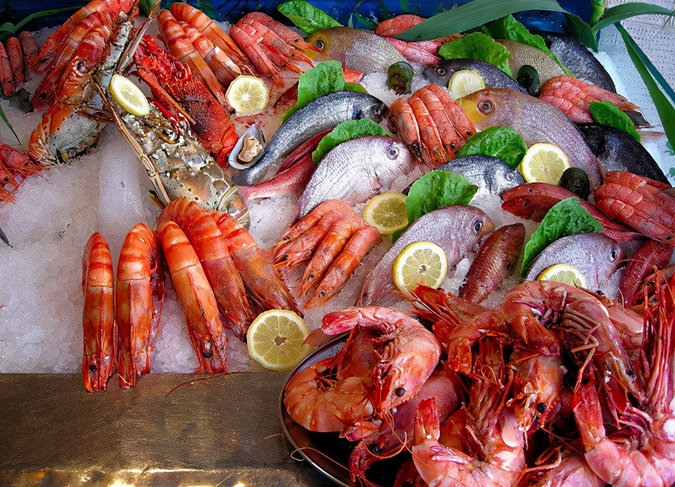 秦皇岛户外探险,秦皇岛旅游攻略最新版