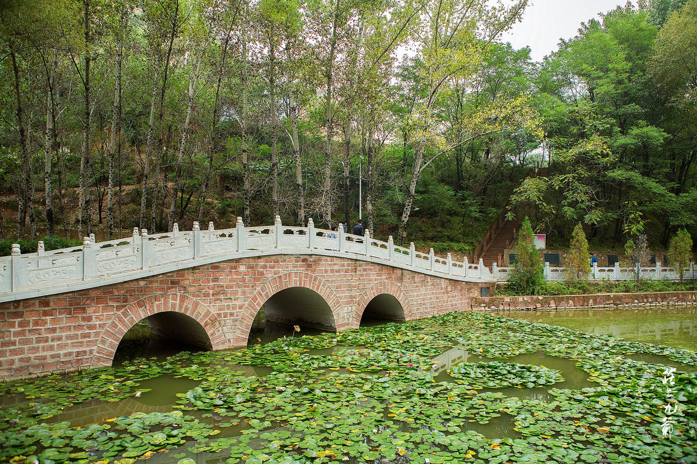 惊世骇俗的小西天悬塑绝大部分人却连地名都念不出口