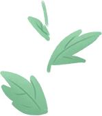 有关秦皇岛的歌曲,这些经典流行歌曲满满的都是回忆