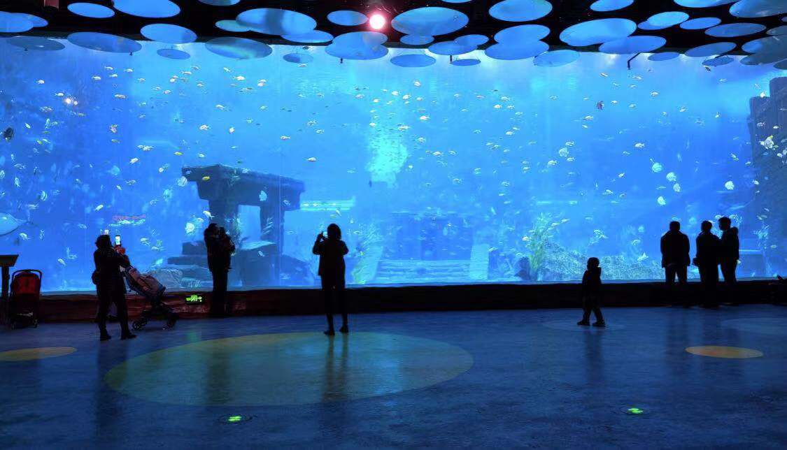 昆明轿子雪山2022元旦旅游攻略,元旦昆明周边有免费玩的景点吗