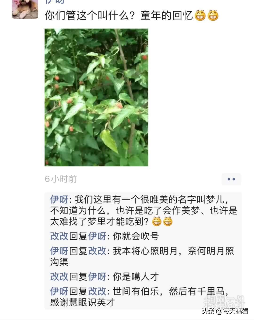 马肆求唐四字成语,舍求四字成语