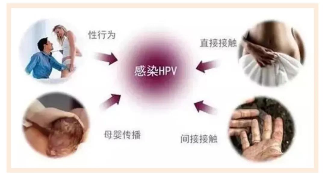 处女不会得妇科病？“啪啪”多了会变松？去你的吧