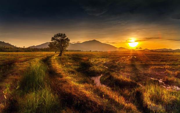 电商人必须思考的10个点,一个电商从业人生自述