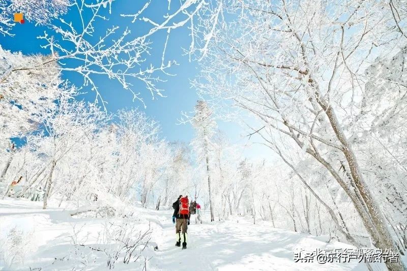 冬天漠河白桦林童话世界完整视频,冰雪大世界长白山雪乡六天五晚