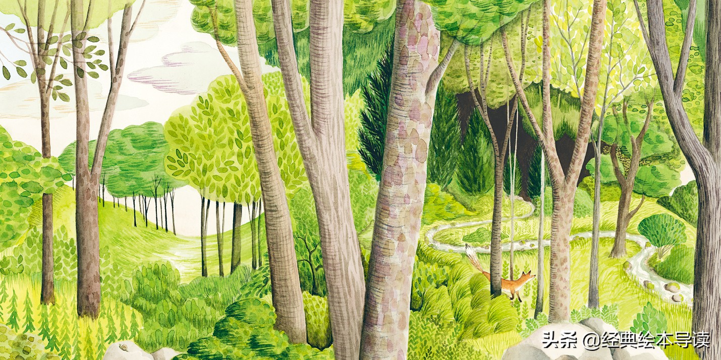 一只世界著名小熊的真实故事——《寻找维尼》导读