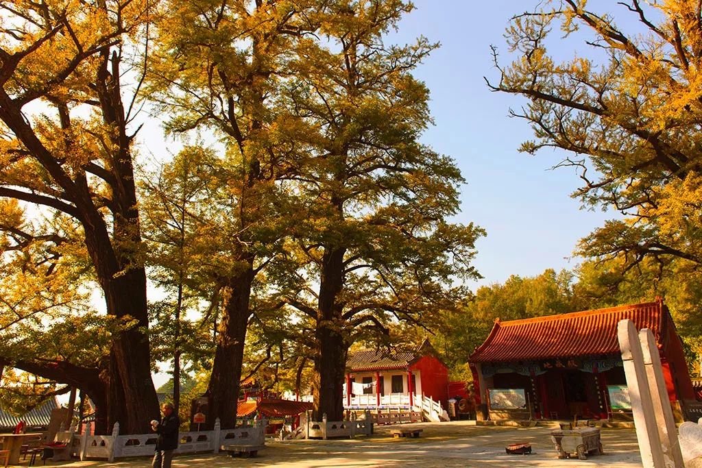 鲁山最穷的一个地方,鲁山真的好风景