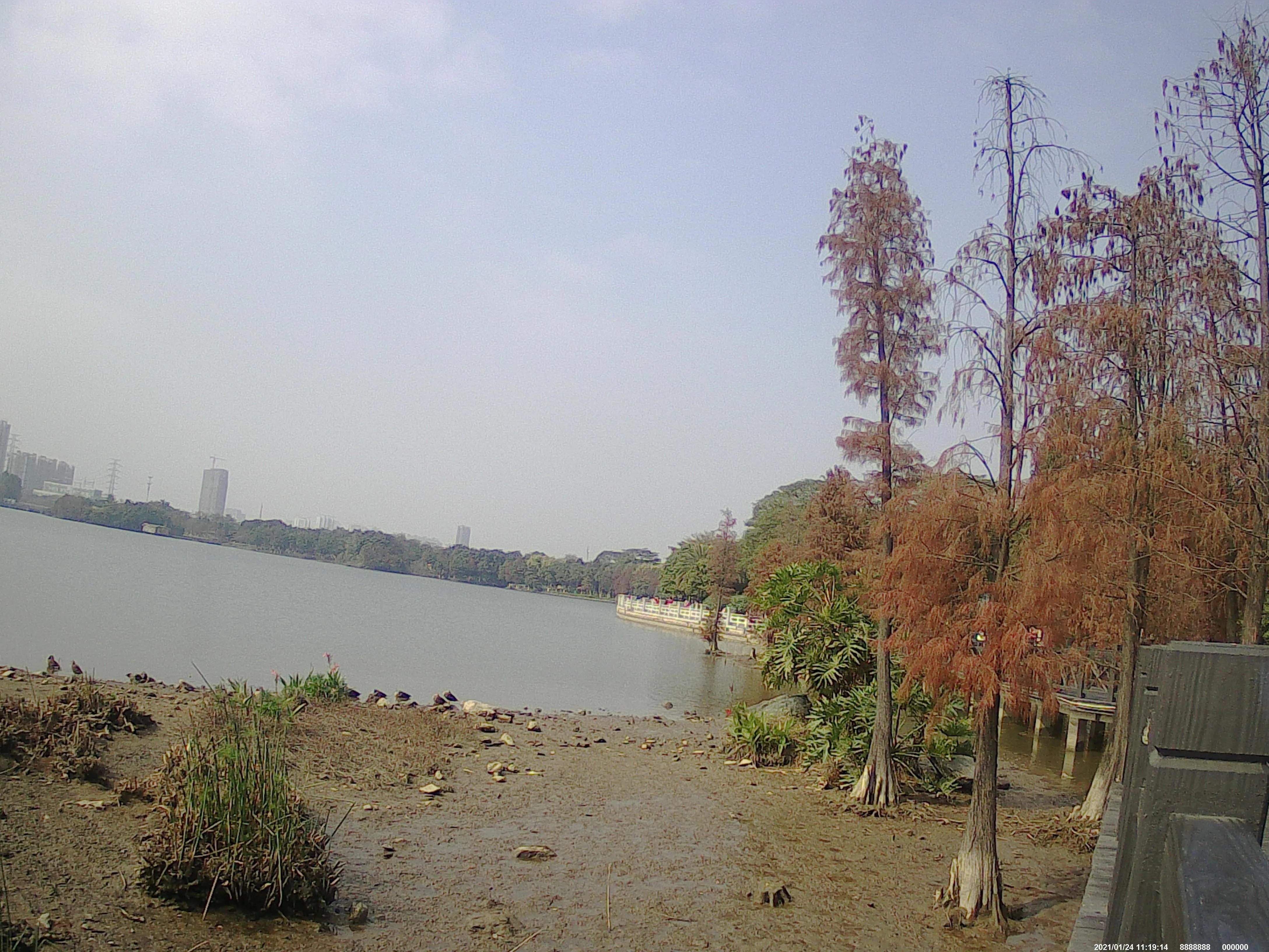 广州海珠湖,海珠湖变化