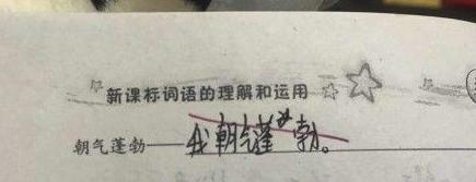 孩子懒的最高境界造句,儿童懒式造句火了