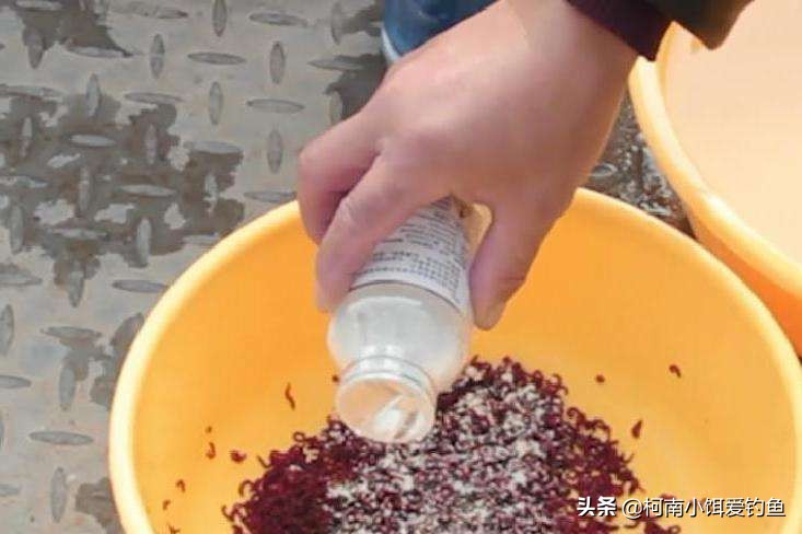 红虫病有多可怕,红虫是不是血线虫