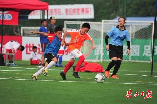 “国脚摇篮”晚报杯持续发掘足球人才，60名小球员有望进入市级青训队