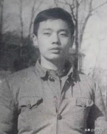 两只老虎乔杉葛优,葛优乔杉两只老虎合集