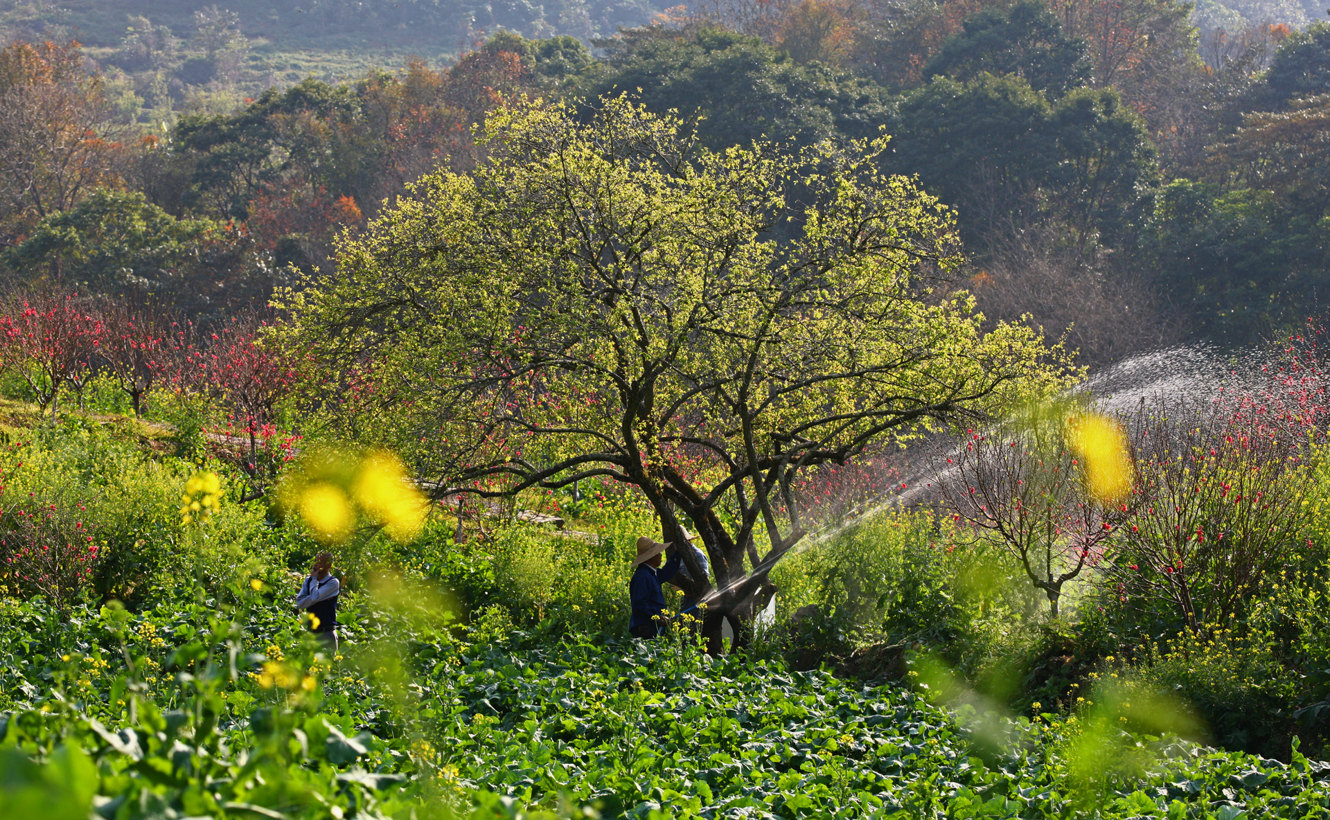 佳能1dsmark3还值得买吗,ds时代