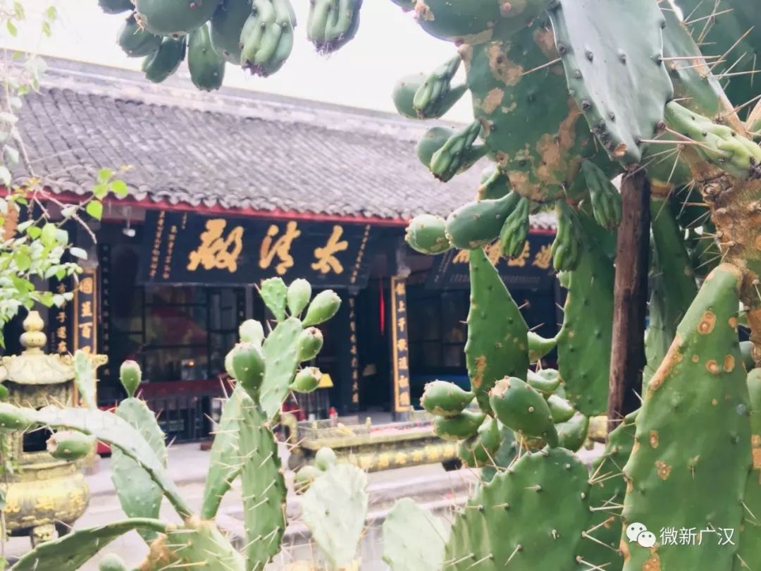 游记|来和兴吧！这里的美景美食每一样都超skr~