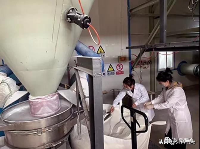 十大无抗饲料排名,绿色无抗饲料