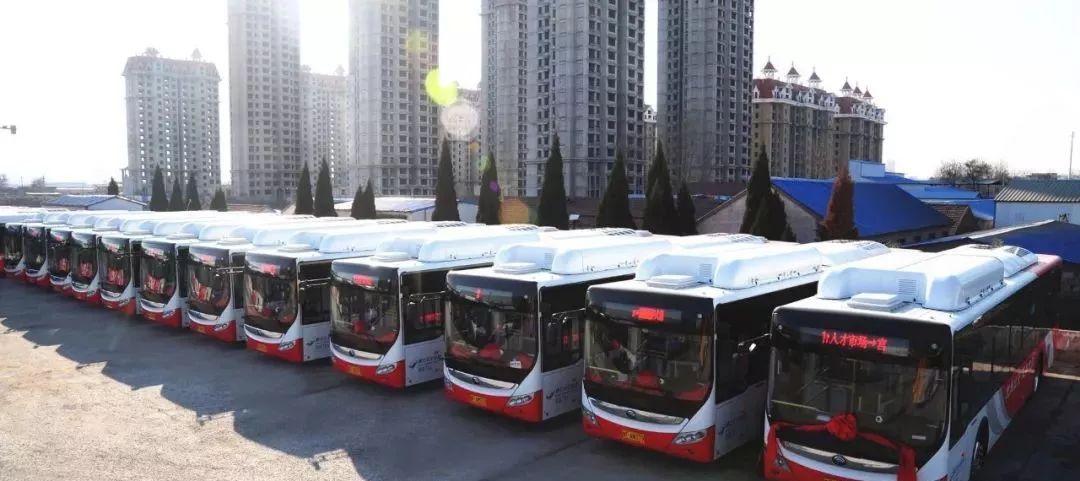 8月烟台玩什么,八月份烟台