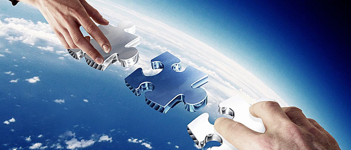 常见的共生关系,共生关系博弈关系