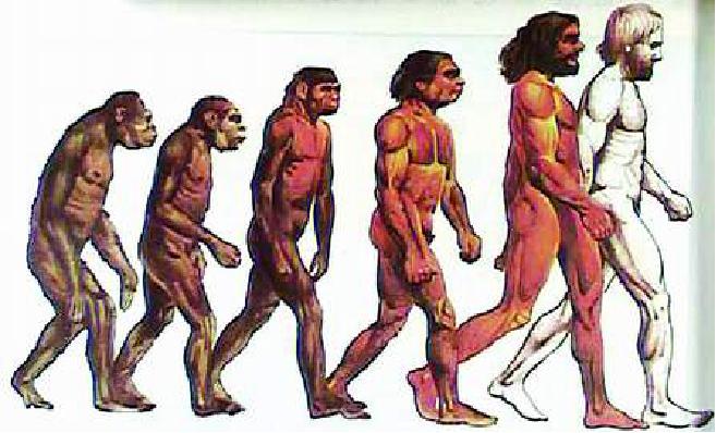 腰椎管狭窄一般是怎么引起的,腰椎管狭窄是什么症状怎么治疗